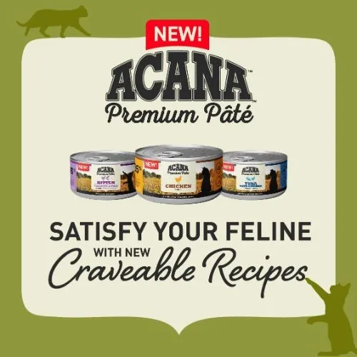 Acana Premium Pate Wet Cat Food with Beef - 24 x 85g