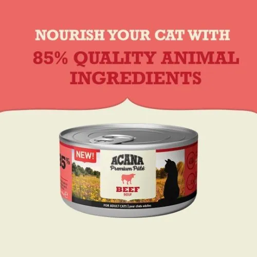 Acana Premium Pate Wet Cat Food with Beef - 24 x 85g