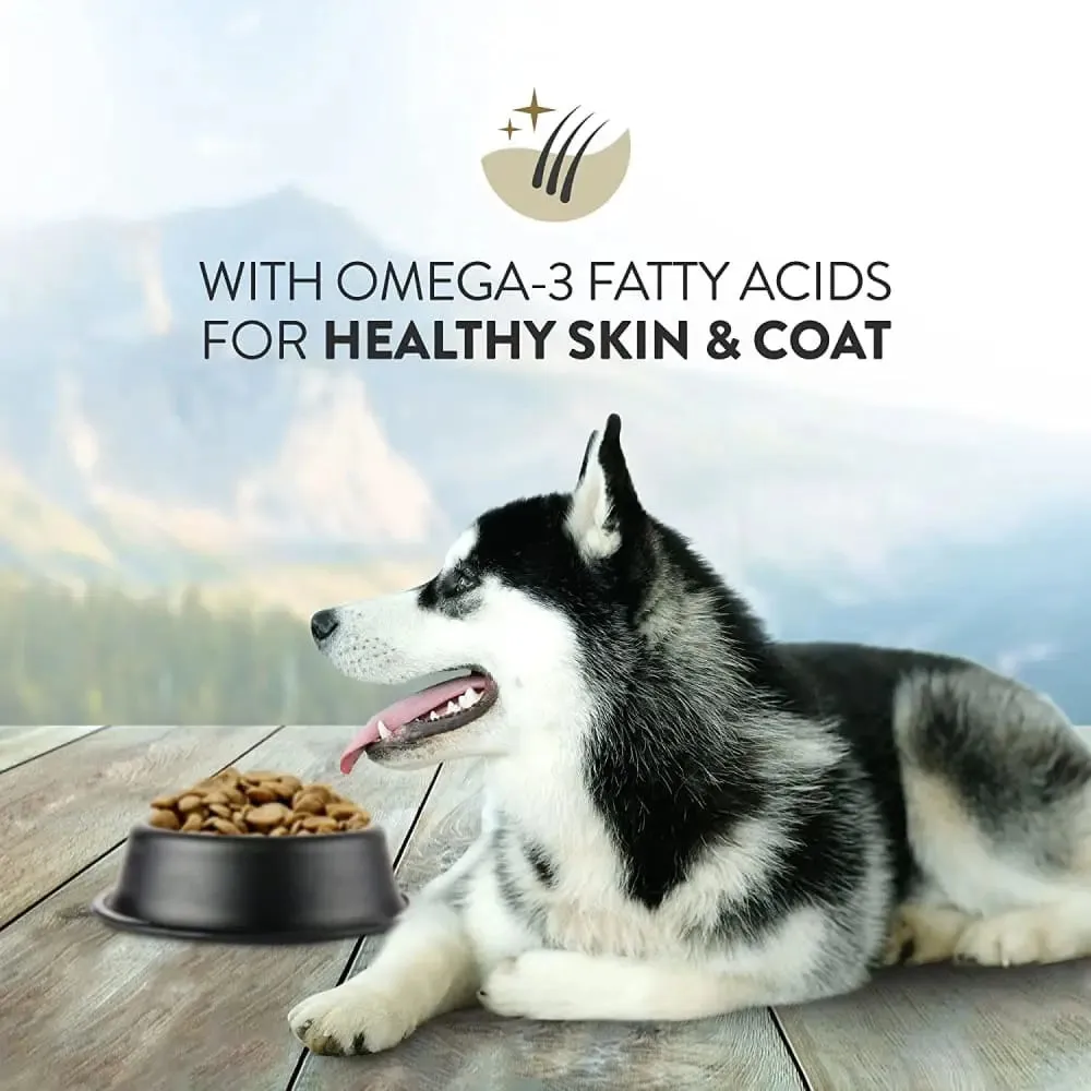 Addiction Salmon Bleu Dog Skin and Coat Health Dry Dog Food