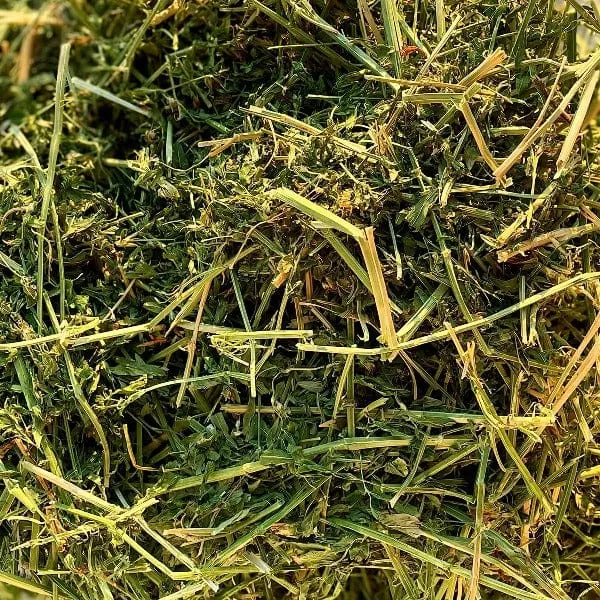 Blue Mountain Hay High-Altitude Alfalfa Hay