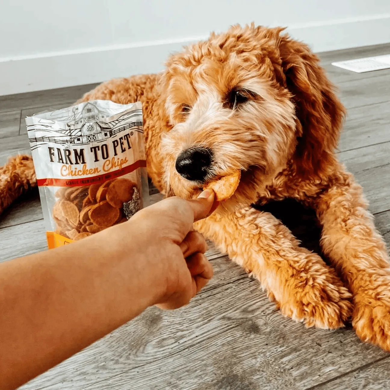 Chips Snack Pack from Farm to Pet