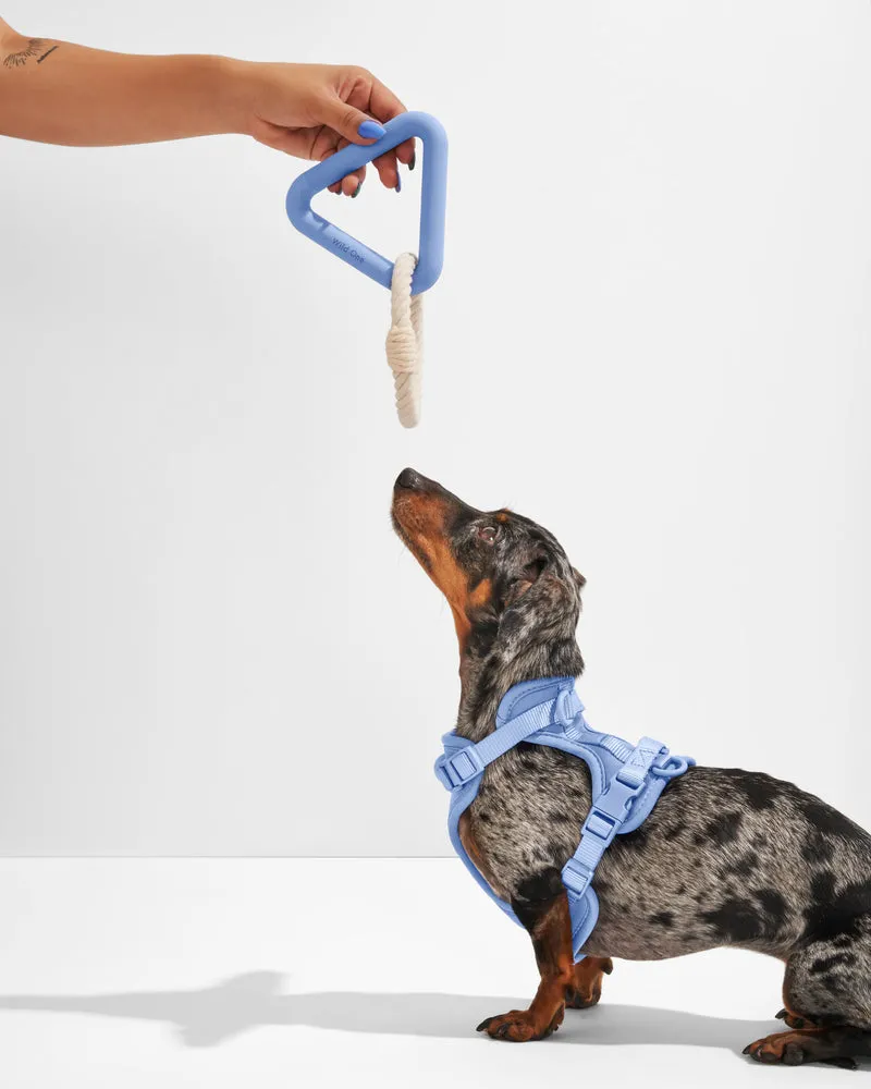 Dog Toy Triangle Tug