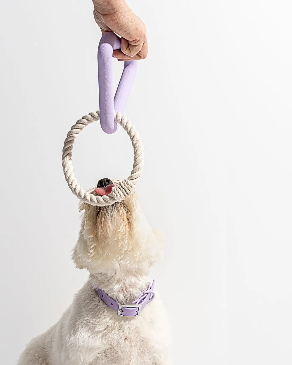 Dog Toy Triangle Tug