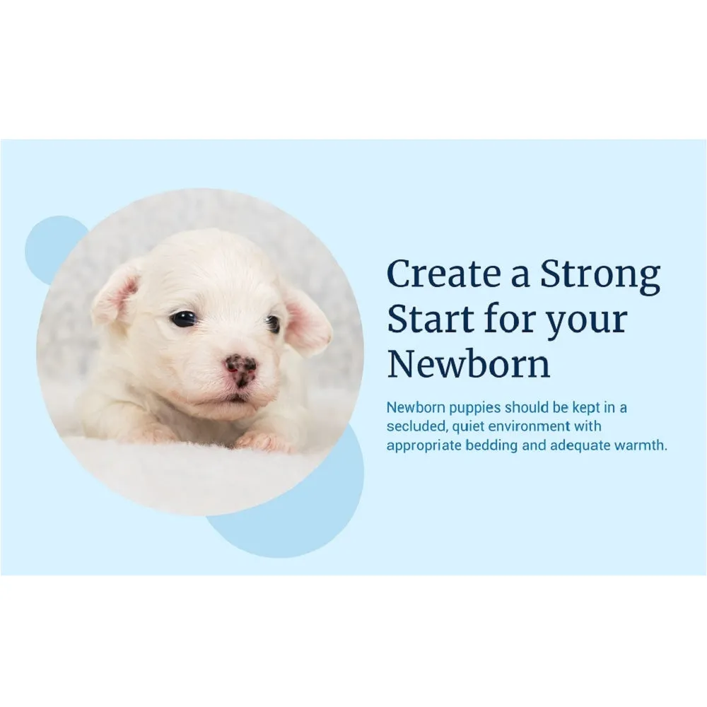 Esbilac Puppy Milk Replacer