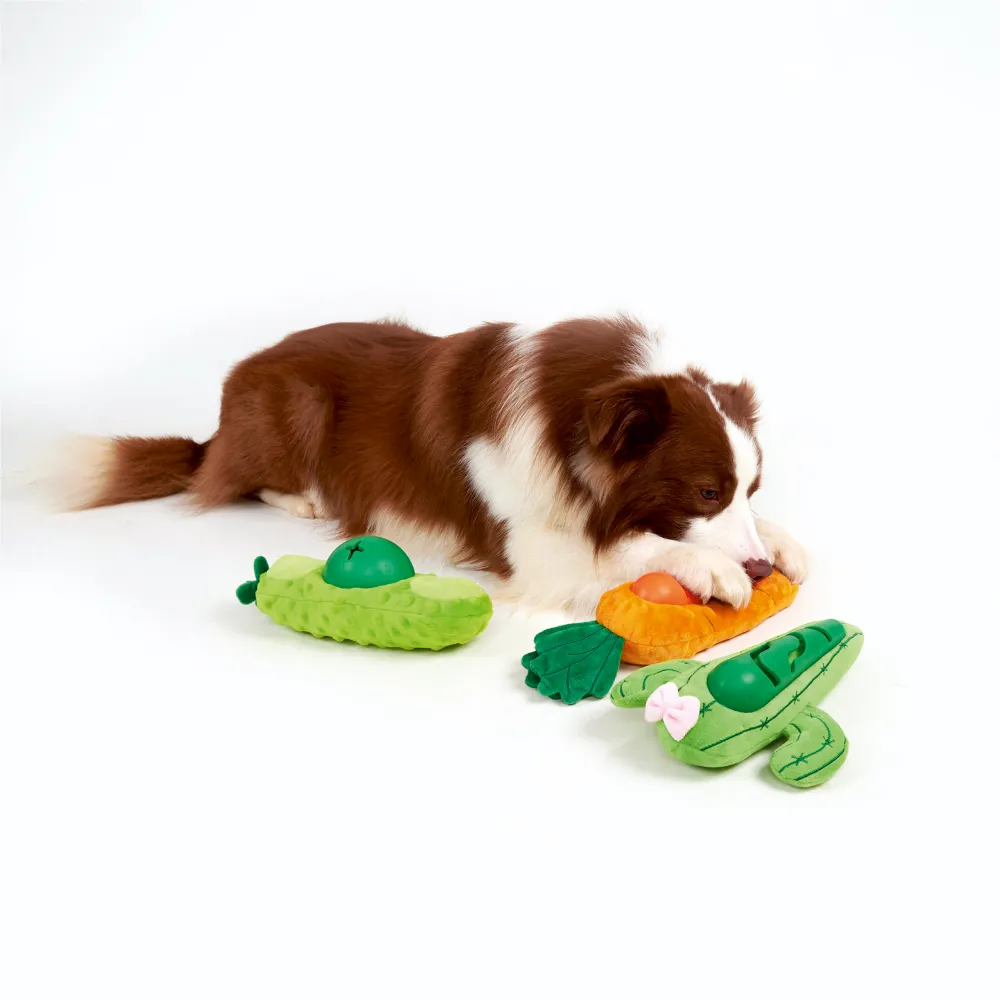 Fofos Carrot Treat Toy for Dogs (Orange)