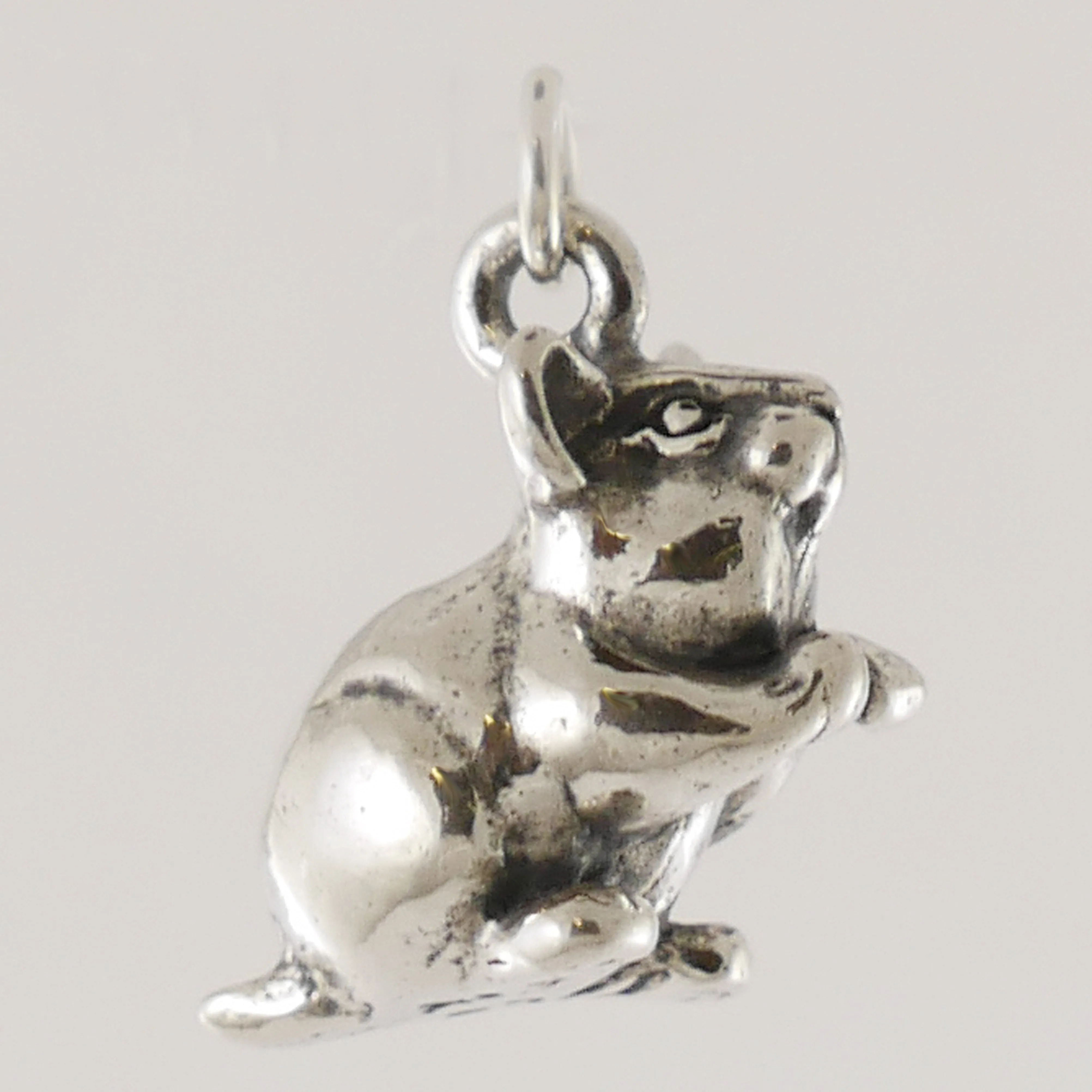 Hamster Charm