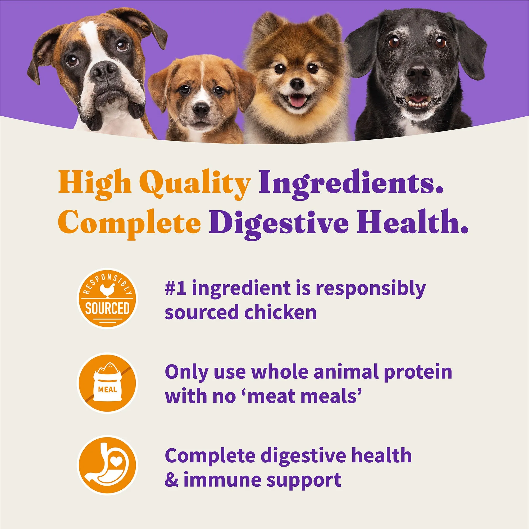 Holistic Grain Free Cage-Free Chicken & Sweet Potato Recipe Adult Dry Dog Food