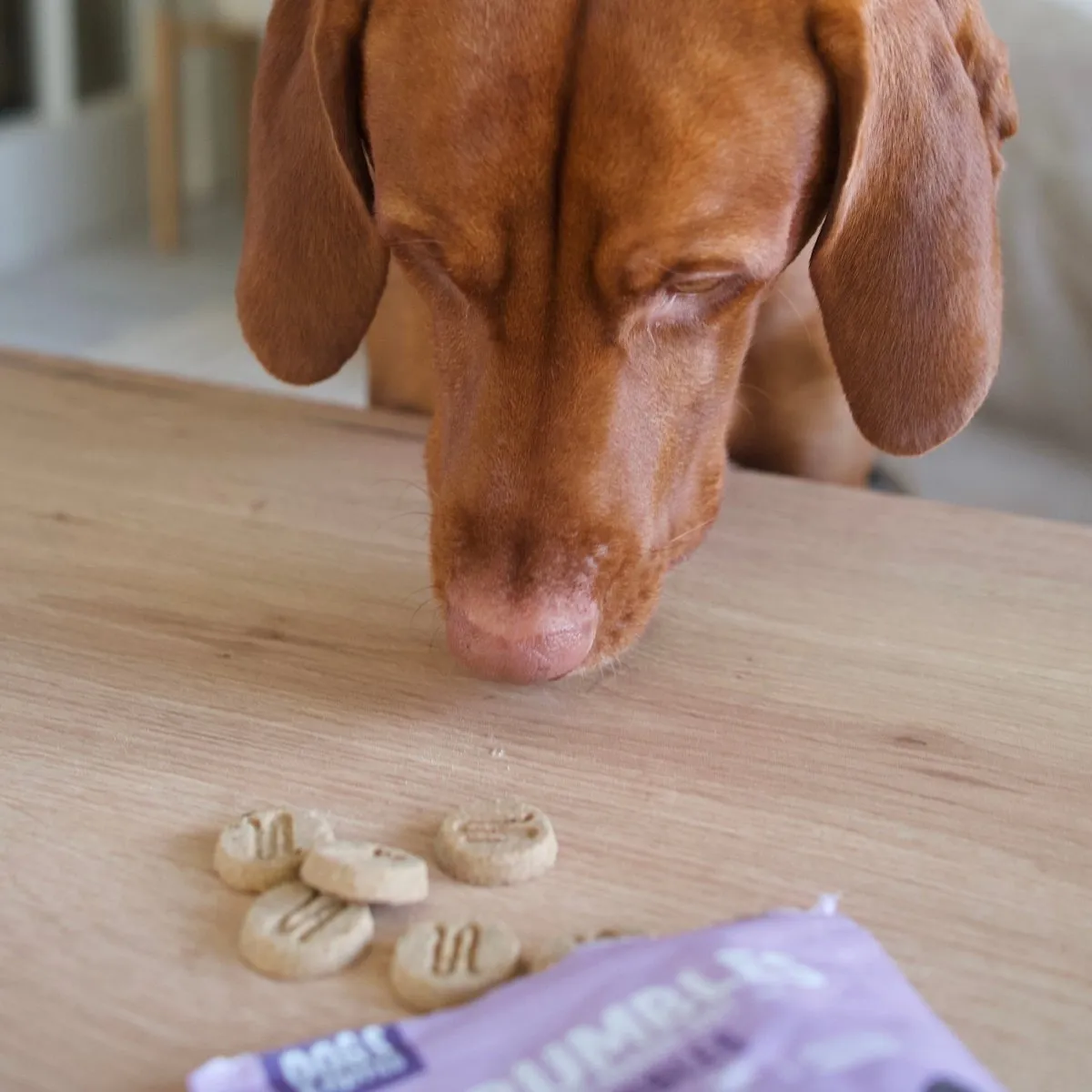 Nibbles: Dog Calming Treats