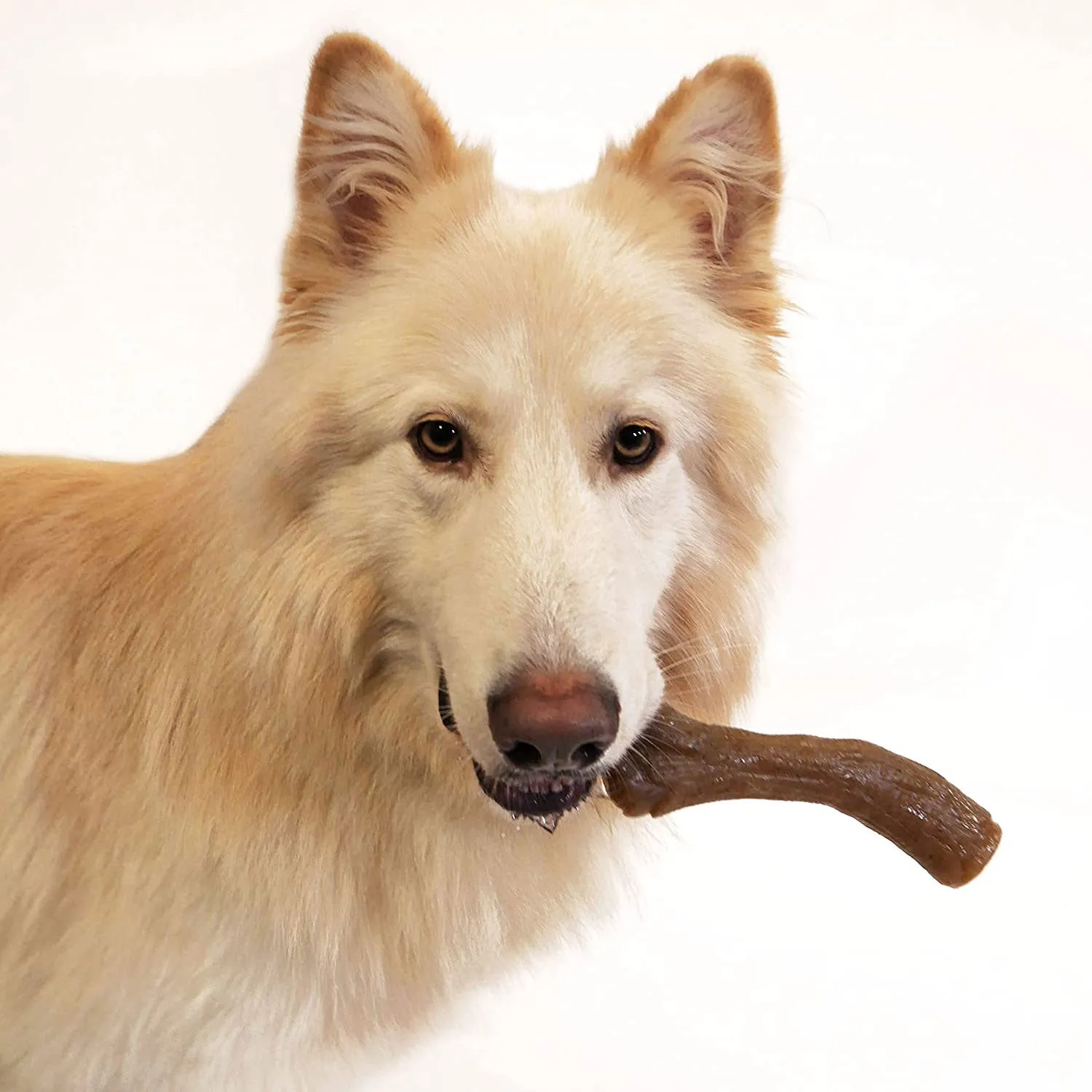 Nylabone Gourmet Strong Chew Stick Peanut Butter