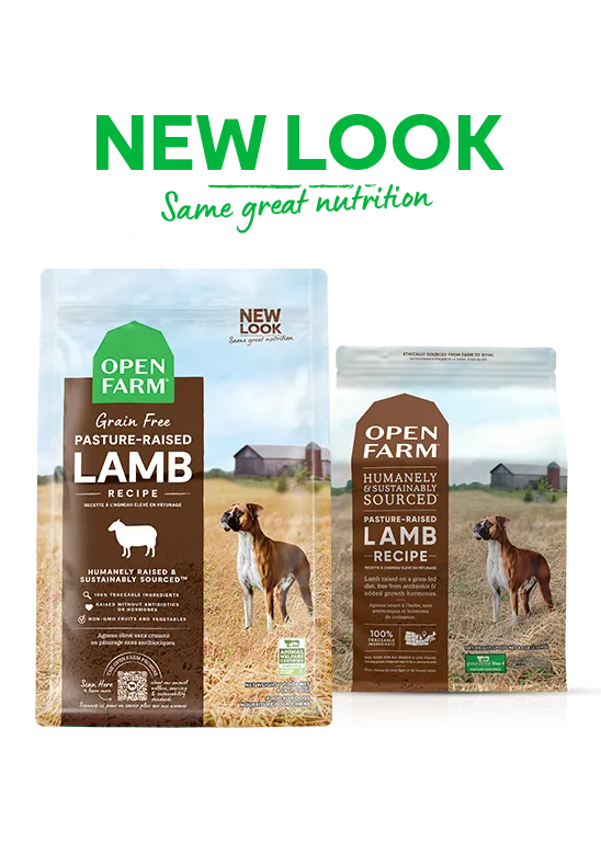 Open Farm Pasture-Raised Lamb Grain-Free Dry Dog Food