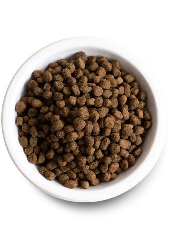 Open Farm Pasture-Raised Lamb Grain-Free Dry Dog Food