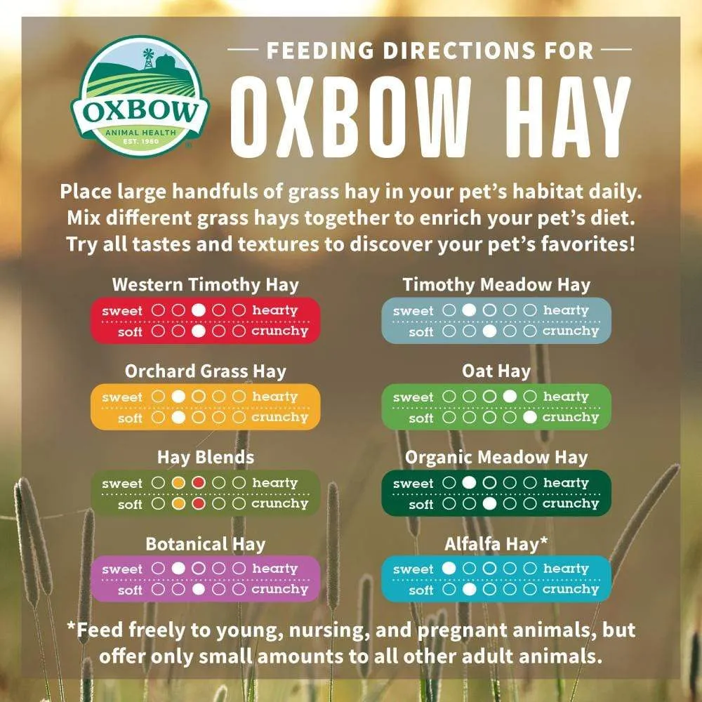 Oxbow Animal Health Western Timothy Hay All Natural Hay for Rabbits Guinea Pigs Chinchillas Hamsters & Gerbils