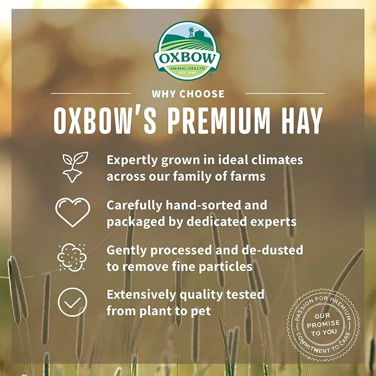 Oxbow Hay Blends - Western Timothy & Orchard Grass