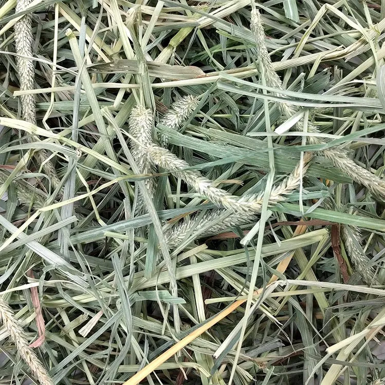 Oxbow Hay Blends - Western Timothy & Orchard Grass