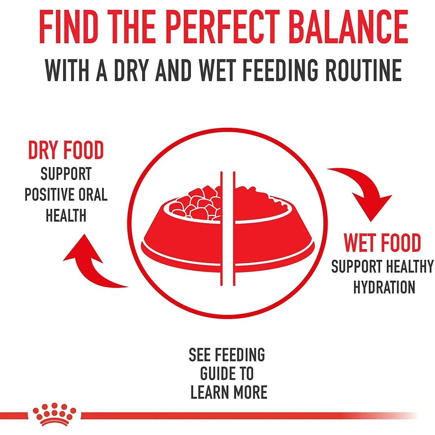 Royal Canin® Breed Health Nutrition® Pug Adult Dry Dog Food