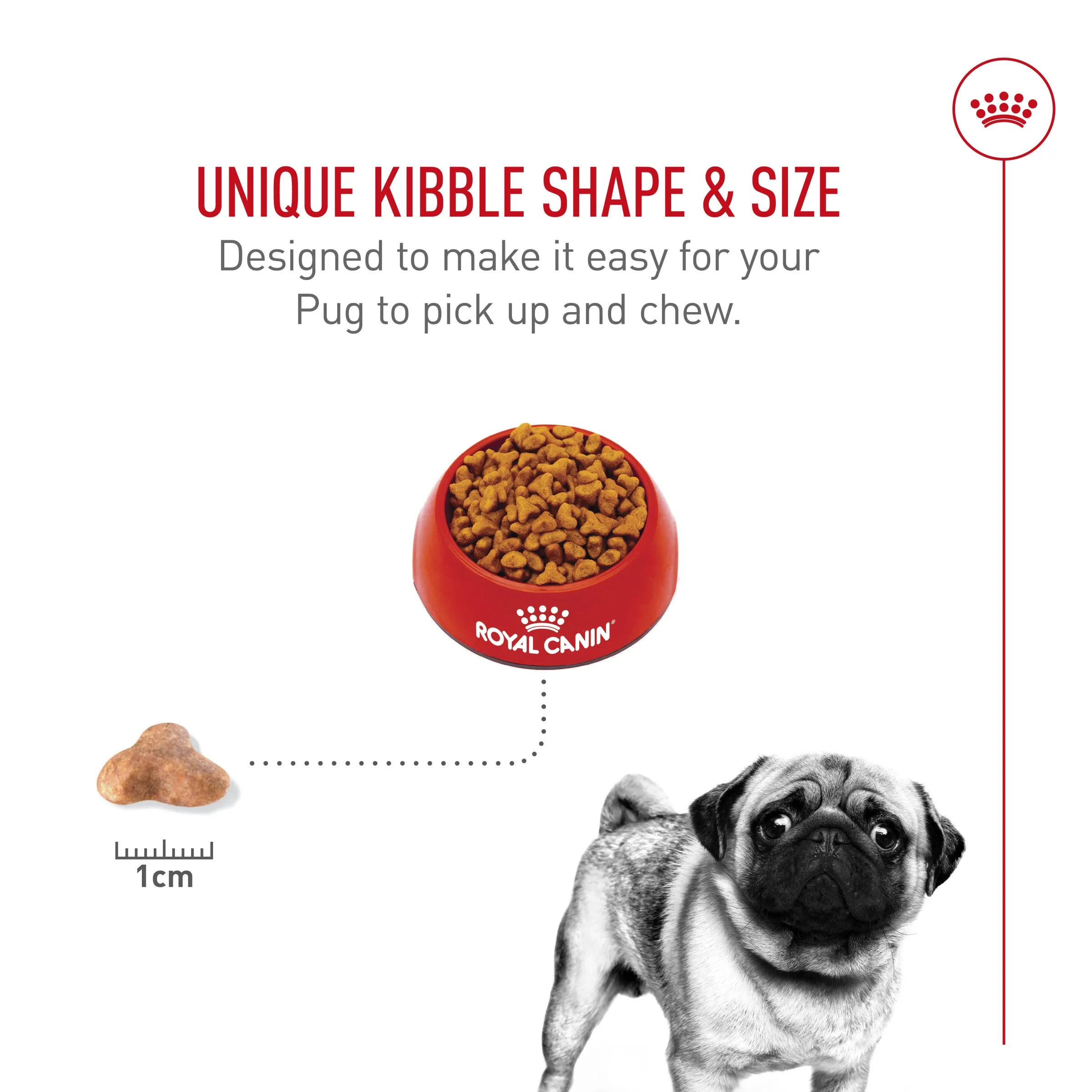 Royal Canin® Breed Health Nutrition® Pug Adult Dry Dog Food