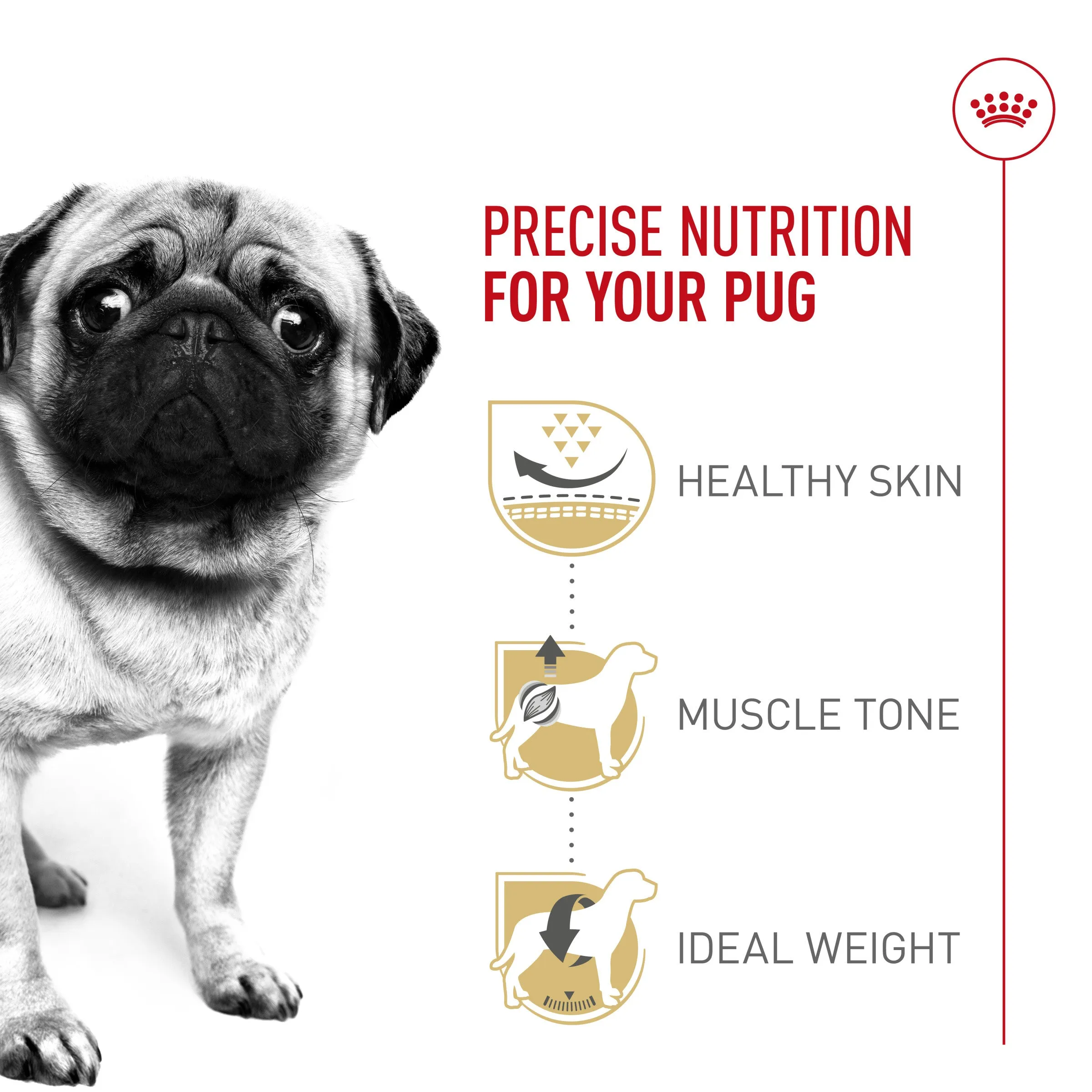 Royal Canin® Breed Health Nutrition® Pug Adult Dry Dog Food