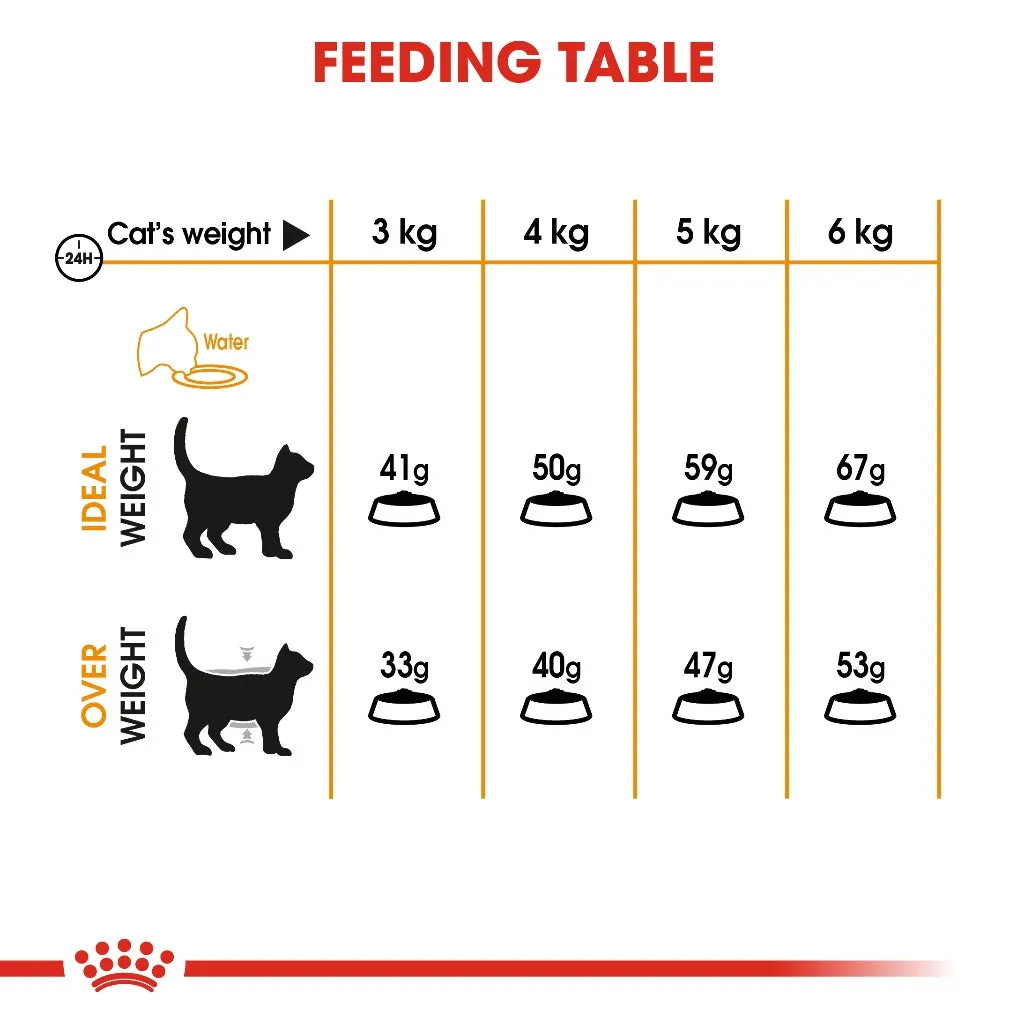 Royal Canin Hair & Skin Care 10kg Adult Dry Cat Food - Feline Care Nutrition