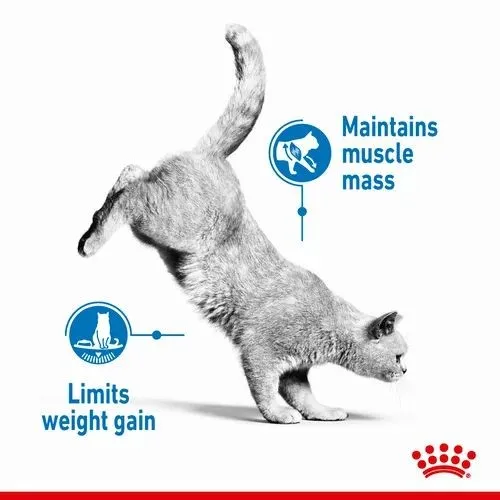 Royal Canin Light Weight Cat Food in Jelly Pouches 12 x 85g