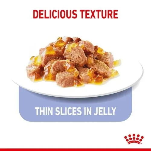 Royal Canin Light Weight Cat Food in Jelly Pouches 12 x 85g