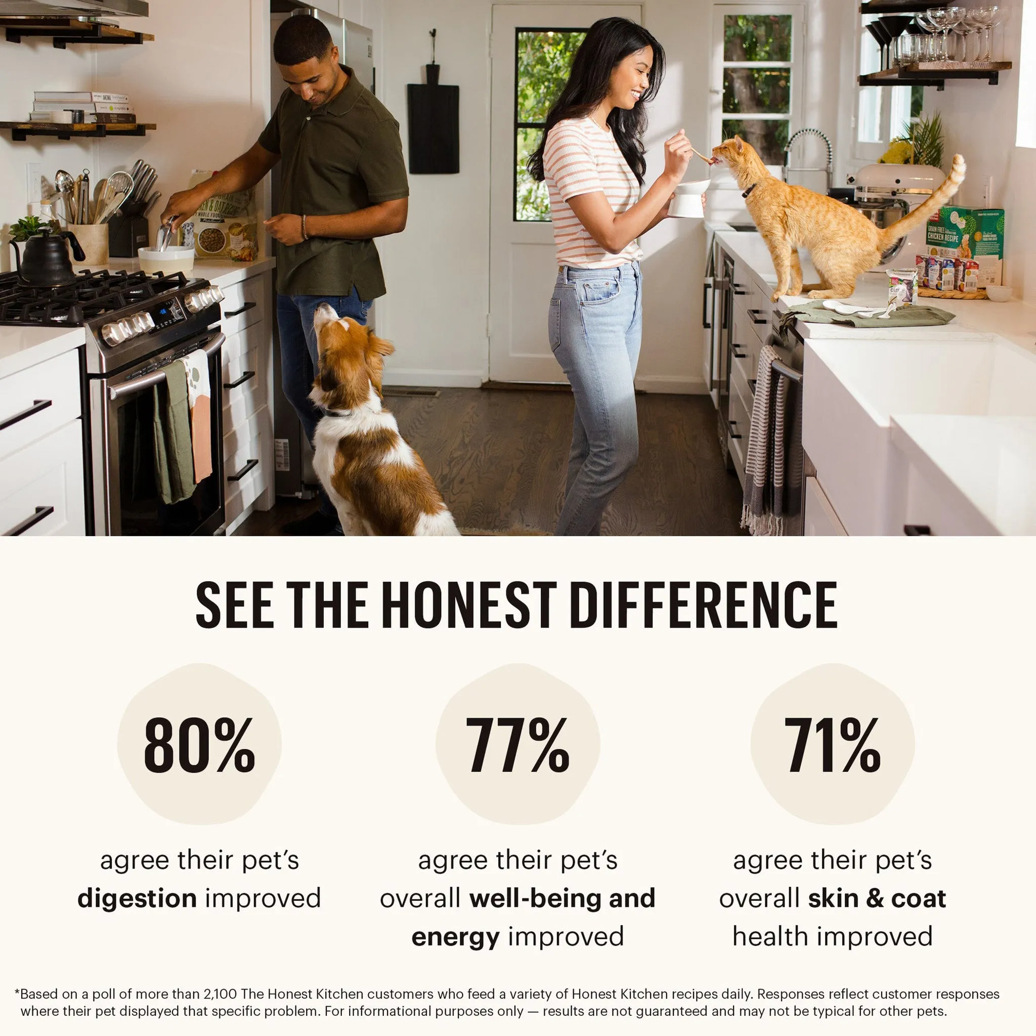 The Honest Kitchen Grain Free Limited Turkey Dehydrated Dog Food