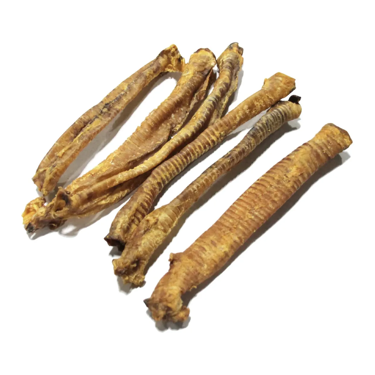 Tuesday's Natural Dog Lamb Trachea