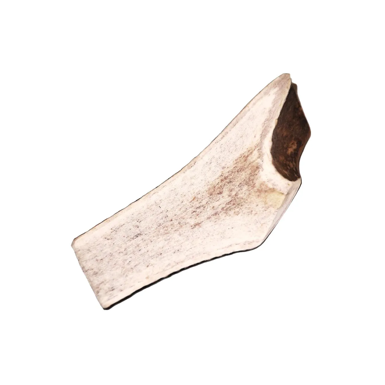 Tuesday's Natural Dog Royal Brown Deer Antler Split