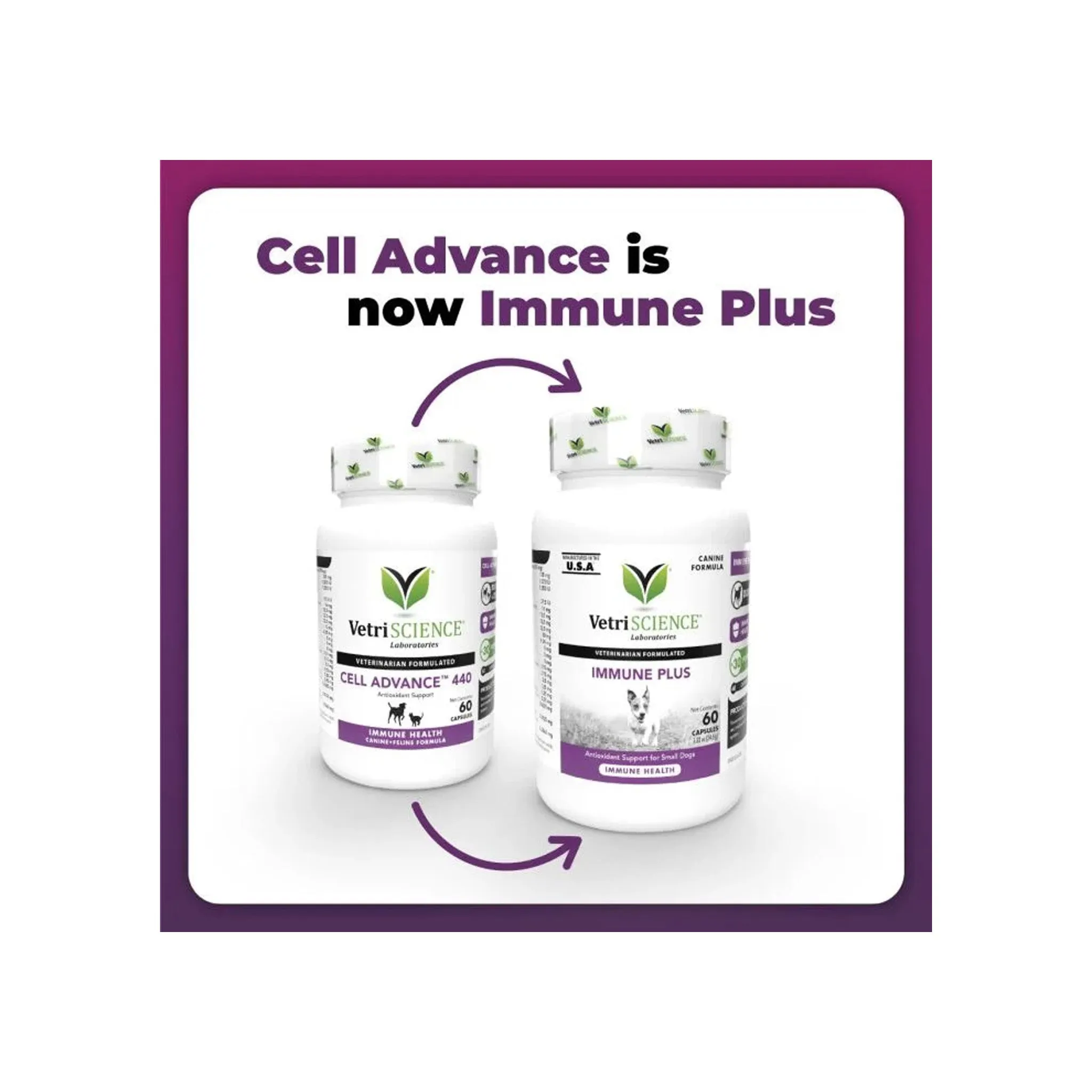 VetriScience Immune Plus Immunity Support for Dogs