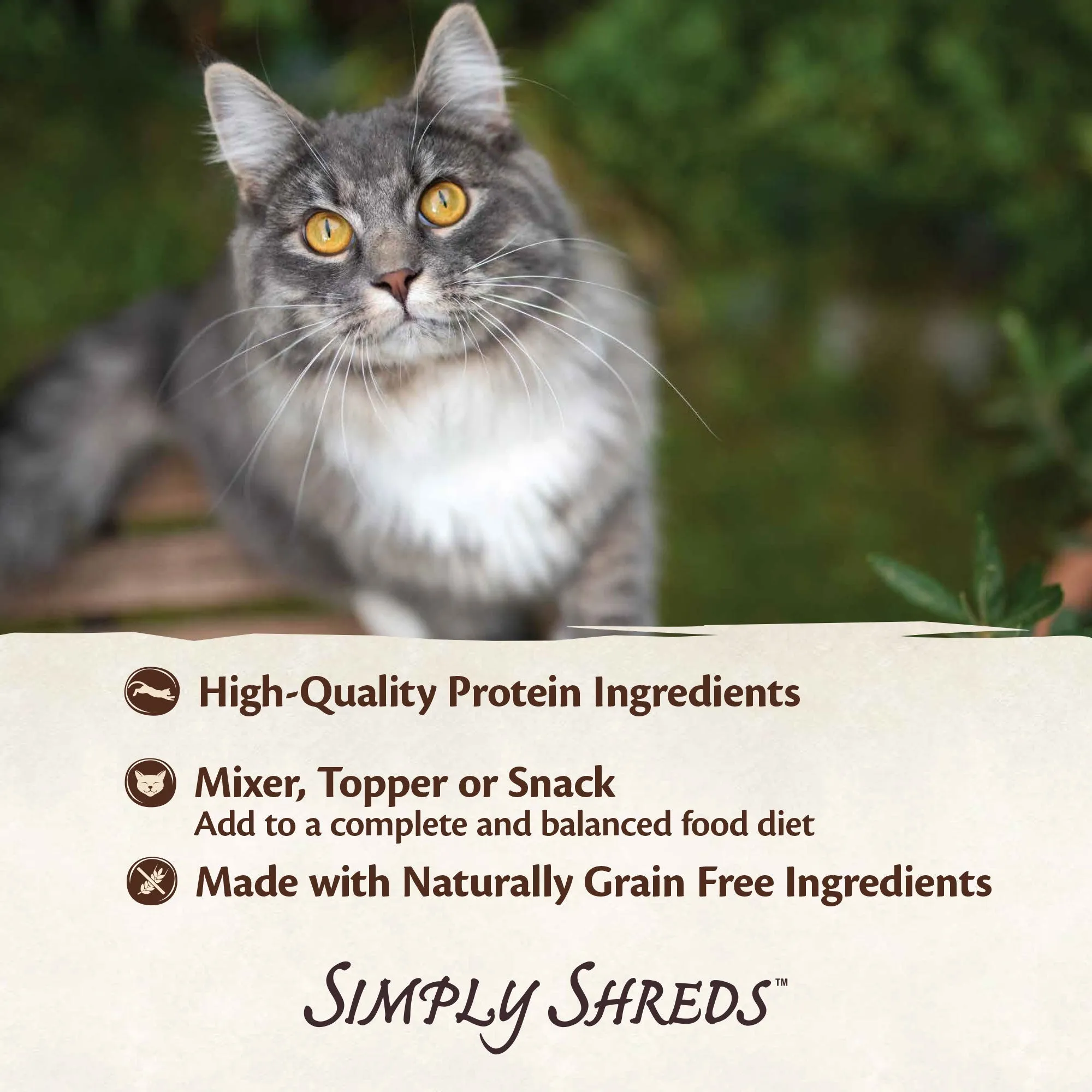 Wellness CORE Simply Shreds Flaked Tuna and Shrimp Wet Cat Food 50g