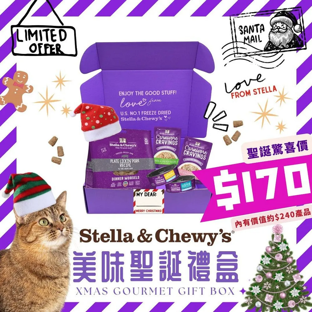 Xmas Gourmet Gift Box for Cats