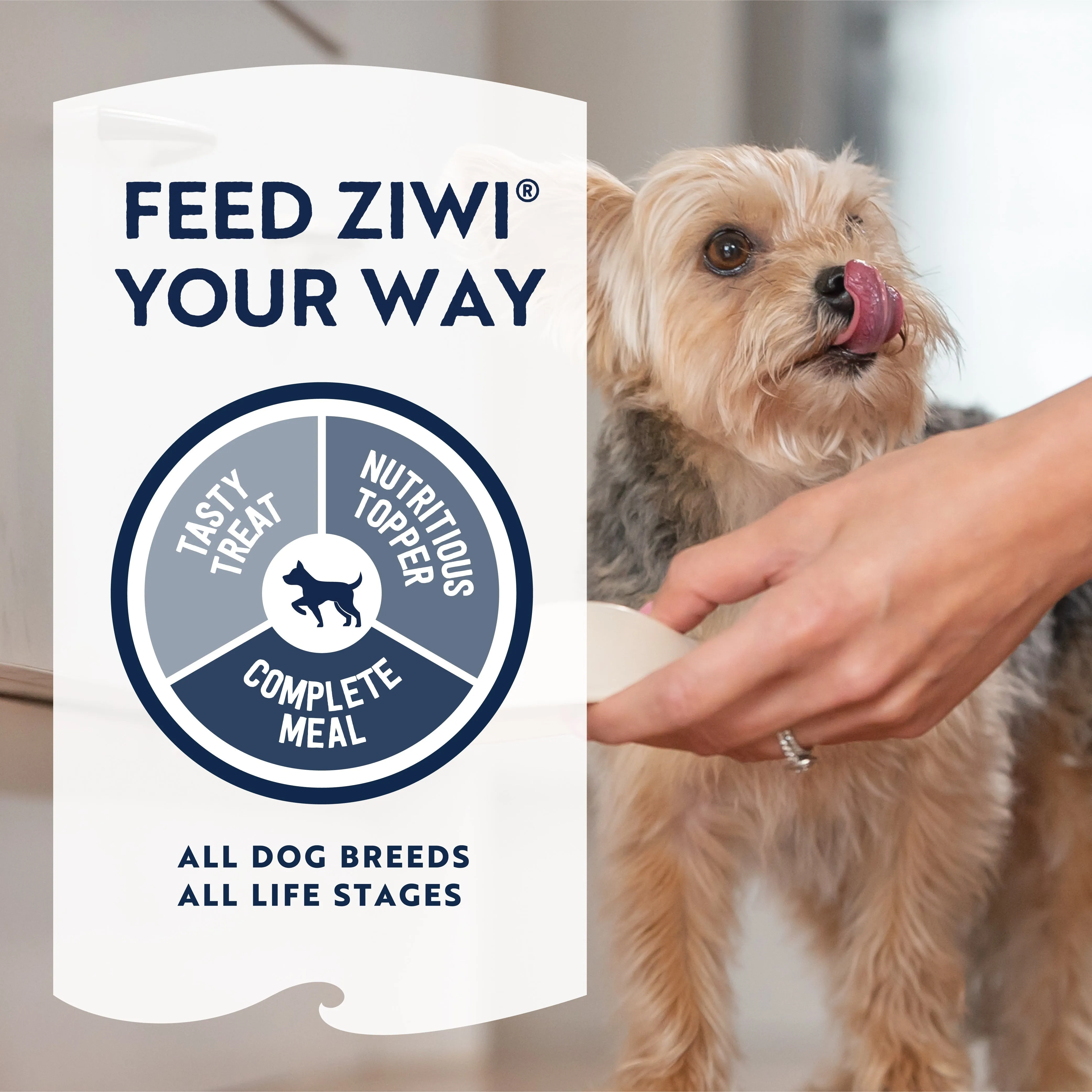 ZIWI Peak Air Dried Beef Recipe Dog Food 2.5kg